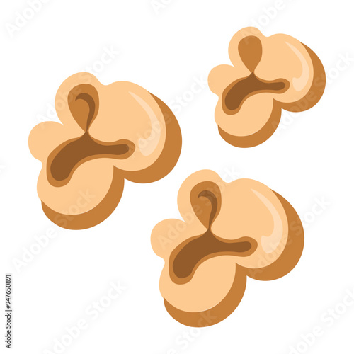 Popcorn Kernel