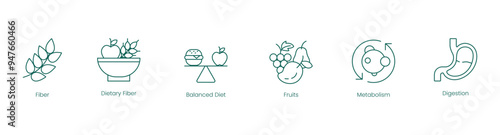 Digestive Health and Nutrition Icons: Fiber, Dietary Fiber, Balanced Diet, Fruits, Metabolism, and Digestion