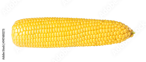 cob corn isolated. png file