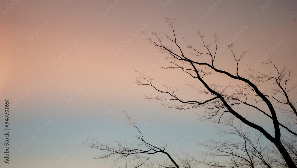Silhouette of Tree Branches Against a Fading Sky for a Calm and Contemplative Mood Silhouette of Tree Branches Against a Fading Sky for a Calm and Contemplative Mood