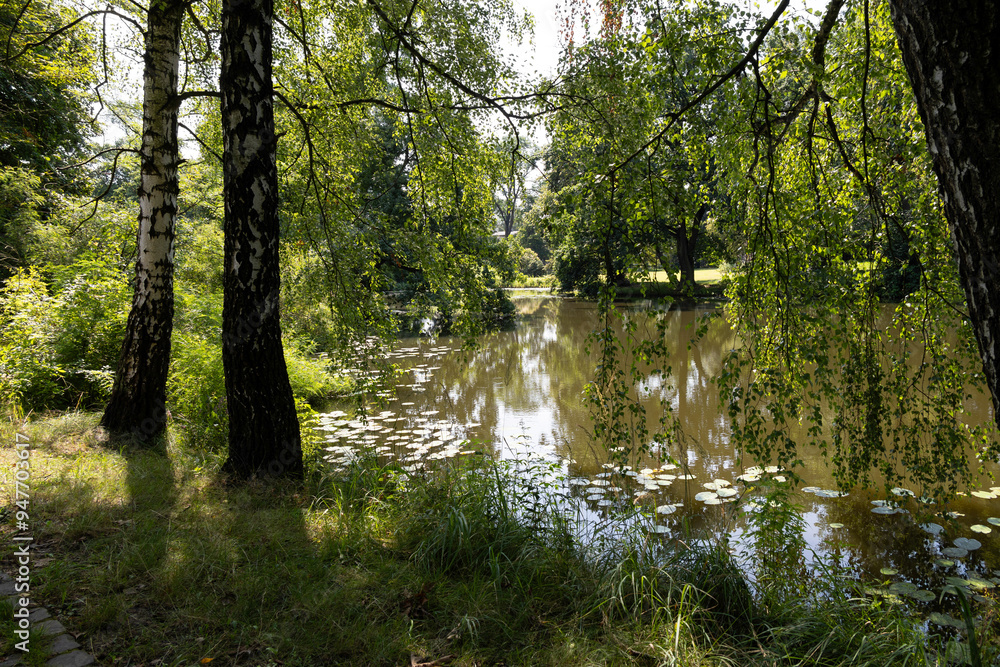 Landscape on a hot summer day by a pond surrounded by greenery Landscape on a hot summer day by a pond surrounded by greenery