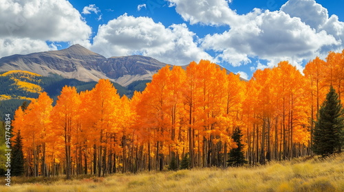 A beautiful autumn landscape with majestic mountains, blue skies, and white clouds beyond a forest of autumn maple trees dyed in yellow.