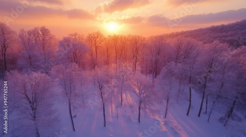 Fototapeta Naklejka Na Ścianę i Meble -  Snow-covered trees in a Bieszczady forest, with the vibrant colors of a winter sunset creating a stunning contrast.