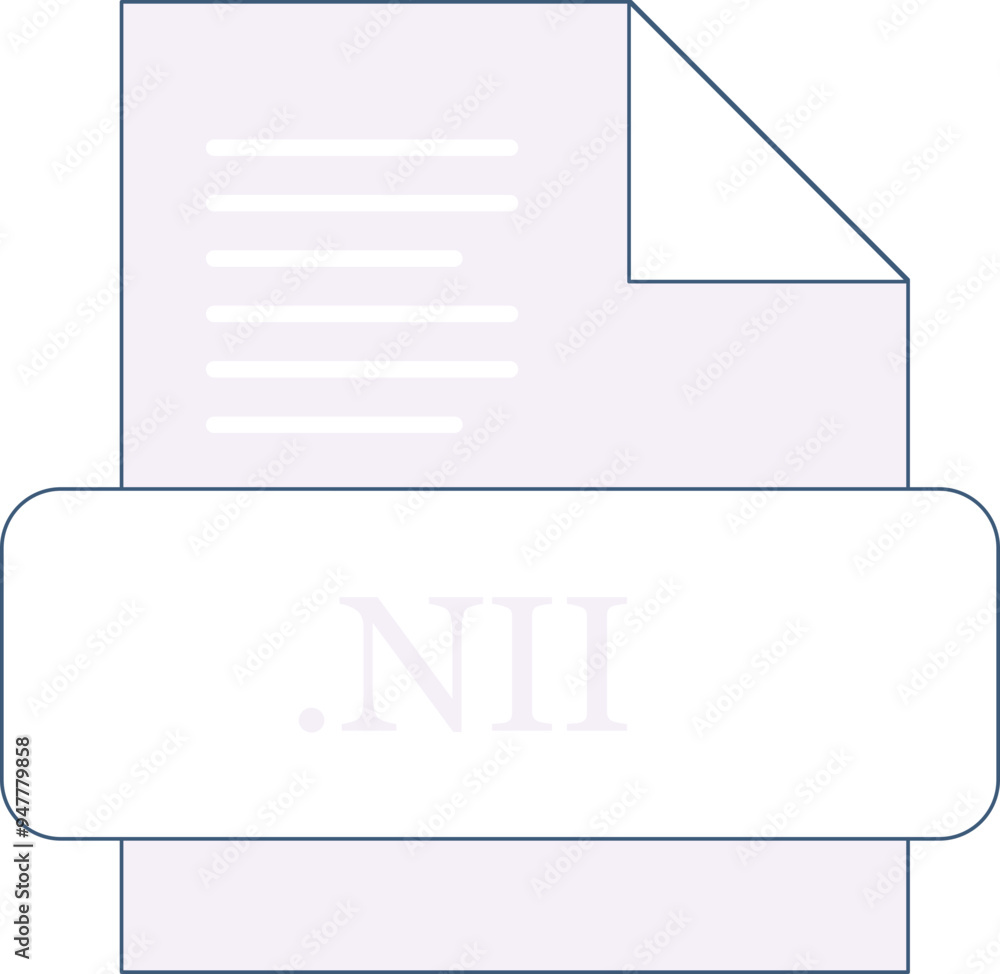 NII File extension icon insidse fill with lines fill NII File extension icon insidse fill with lines fill