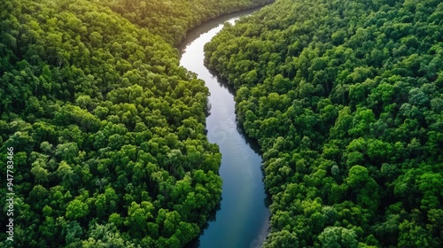 Drone shot of a winding river cutting through a dense forest