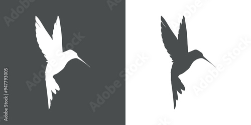 Silueta de colibrí