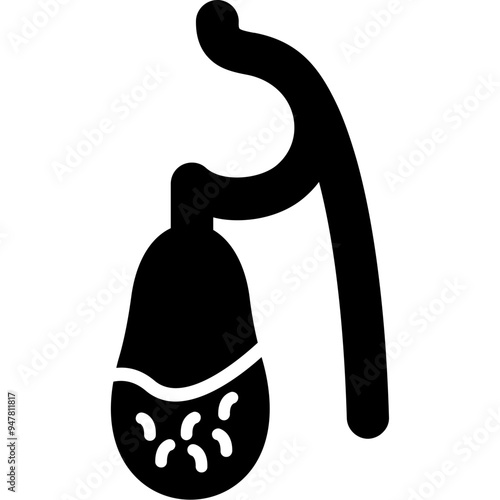 Gallbladder Icon