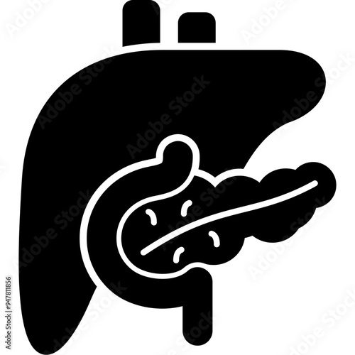 Liver Icon photo