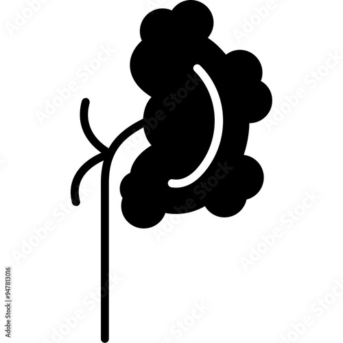 Pyelonephritis Icon