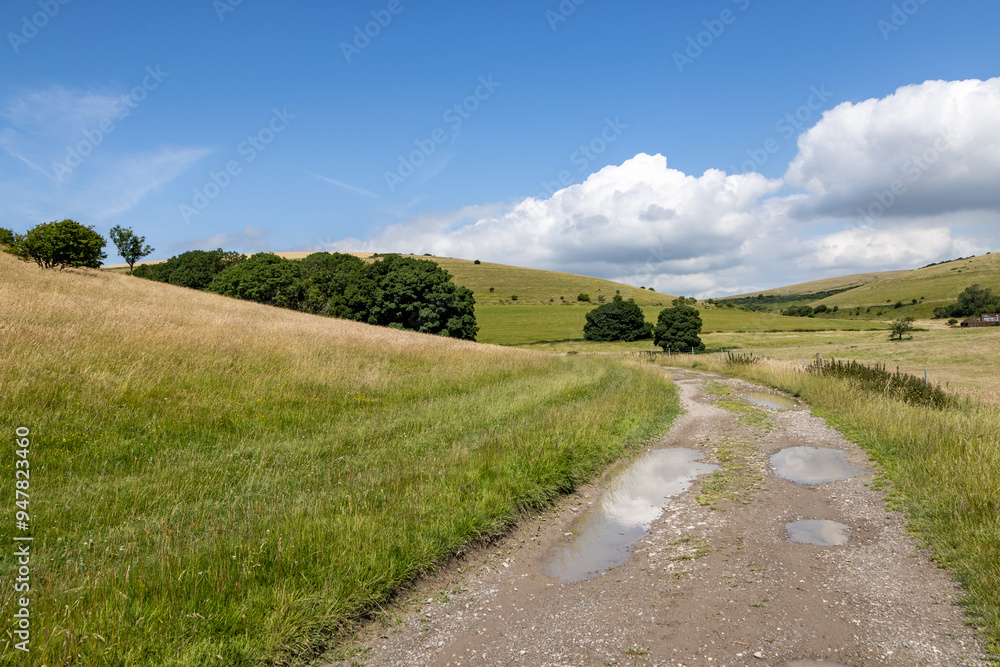 Looking along a dirt track in the South Downs, on a sunny summer's day Looking along a dirt track in the South Downs, on a sunny summer's day