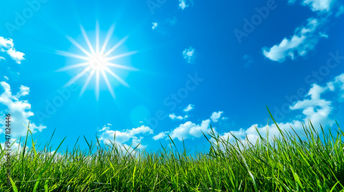 Illustration of green grass with a blue sky and sun
