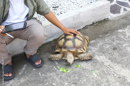 A Man Sitting Next To An African Spurred Tortoise (Centrochelys Sulcata) Outdoors photo