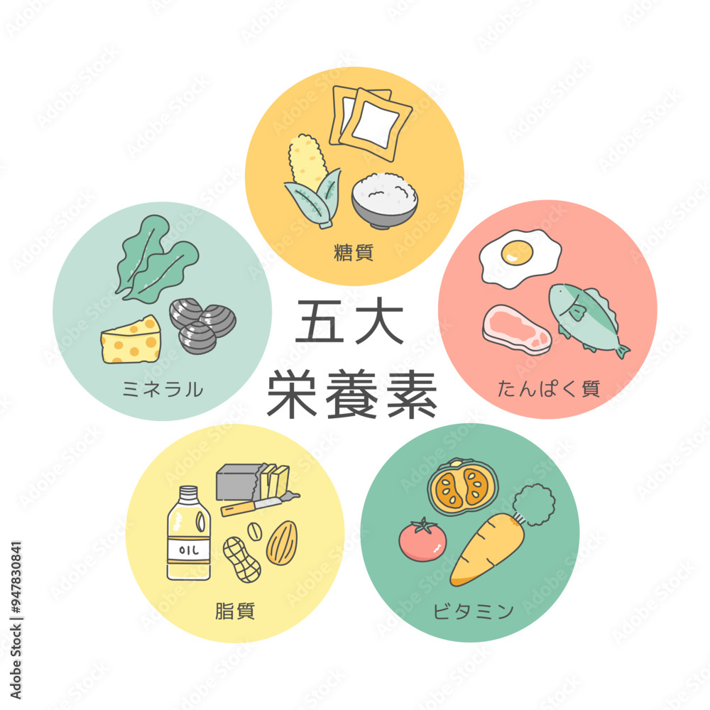 五大栄養素 イラストセット 五大栄養素 イラストセット