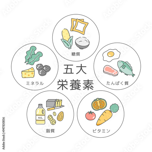五大栄養素　イラストセット
