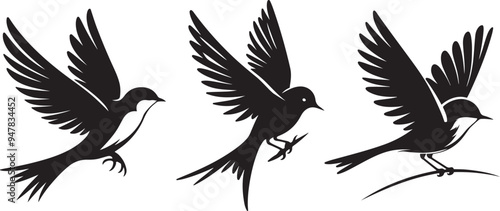 Bird silhouette vector eps