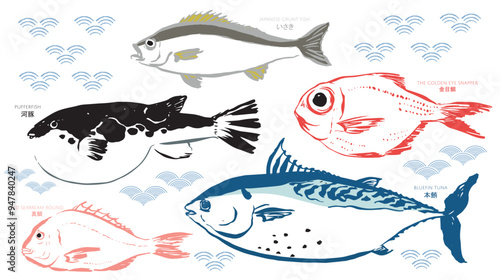 Set of cartoon sea food products. Ocean meal.  Marine fish. Bluefin tuna, Puffer, red seabeam round,  grunt, the golden snapper fish illustration in. Cooking delicatessen ingredients. Seafood of Japan