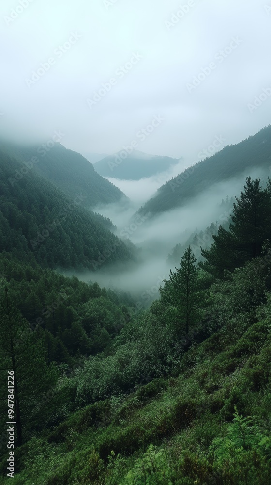 Obraz premium Fog rolling through a mountain pass, foggy weather, mysterious and silent