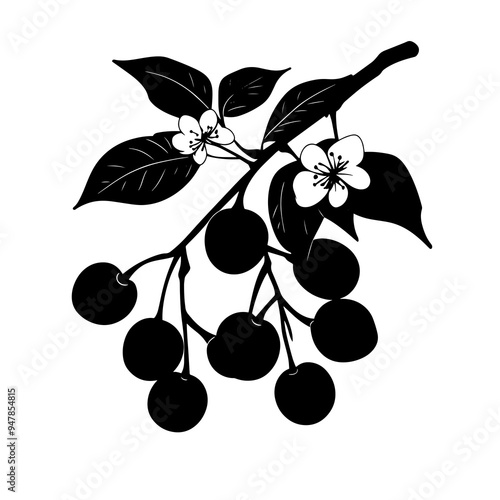 vector silhouette of a Surinam Cherry