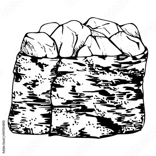 Traditional Japanese food, gunkan sushi seaweed nori wrap with raw fish salmon tuna crab seabass whitefin hand drawn in vector pen and ink. Illustration for restaurant, cafe menu, kitchen, recipe book