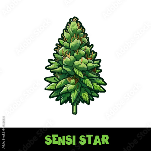 Vector Illustrated Sensi Star Cannabis Bud Strain Cartoon