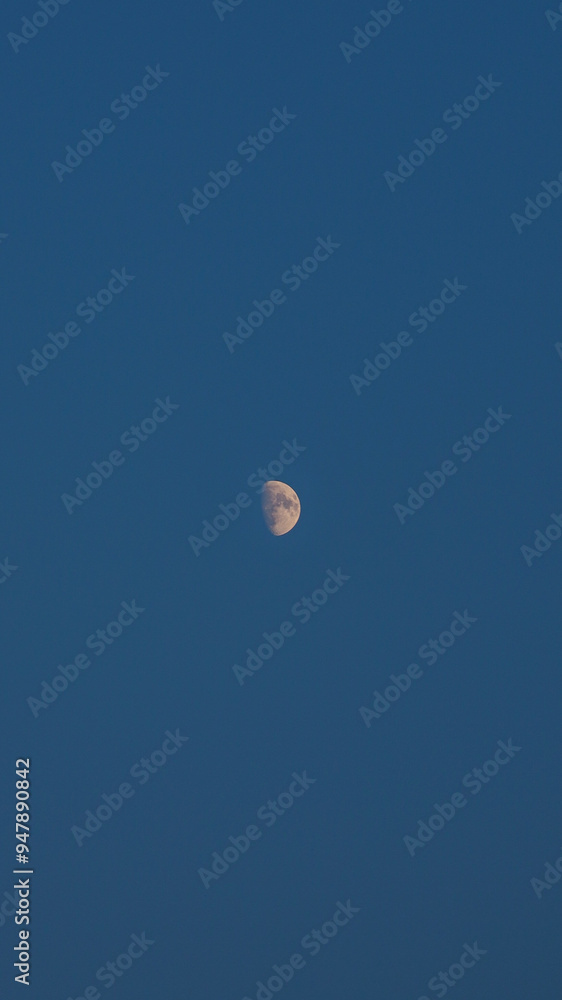 Moon Moon