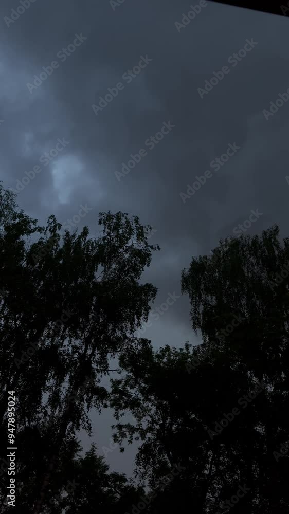 Wind strongly sways tree branches with green leaves, lightning strikes in the background. Wind strongly sways tree branches with green leaves, lightning strikes in the background.