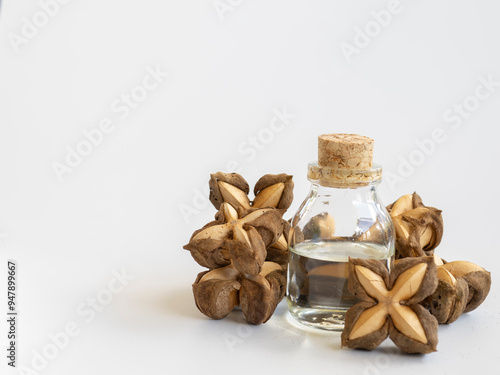 Plukenetia Volubilis Seed Oil Sacha inchi Oil Contains high amounts of omega 3,6,9 fatty acids. It can be used to nourish the skin very well photo