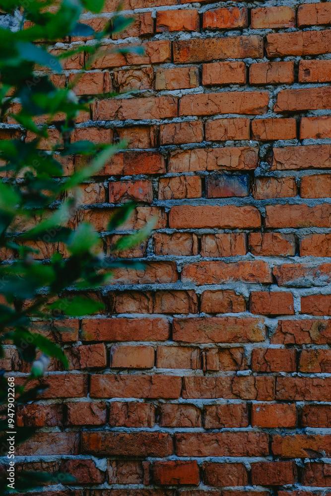 A textured brick wall partially obscured by green foliage in a tranquil outdoor setting during daylight A textured brick wall partially obscured by green foliage in a tranquil outdoor setting during daylight