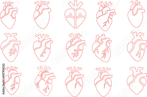 hearts line art vector illustration set, perfect anatomical heart for medical, educational designs, posters, and infographics. Detailed heart diagrams showcasing different anatomical perspectives