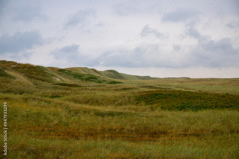Wide grass landscape on the North Sea coast of Denmark Wide grass landscape on the North Sea coast of Denmark
