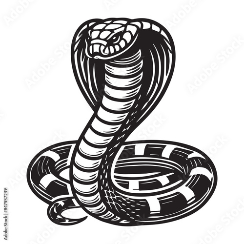 Cobra silhouette - King Cobra snake Clipart -  Stance Cobra illustration in black and white