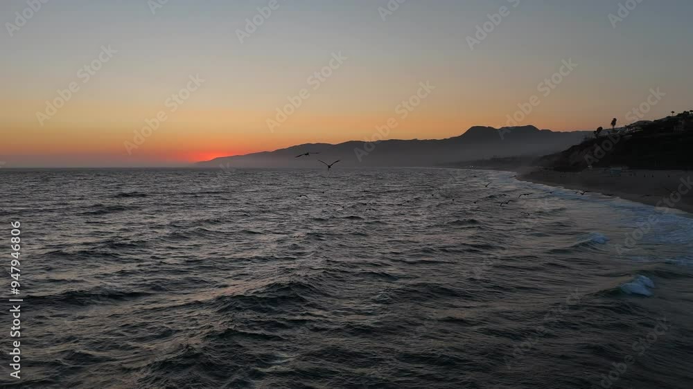 Flight follows Pelicans flying at dusk off Malibu California coast