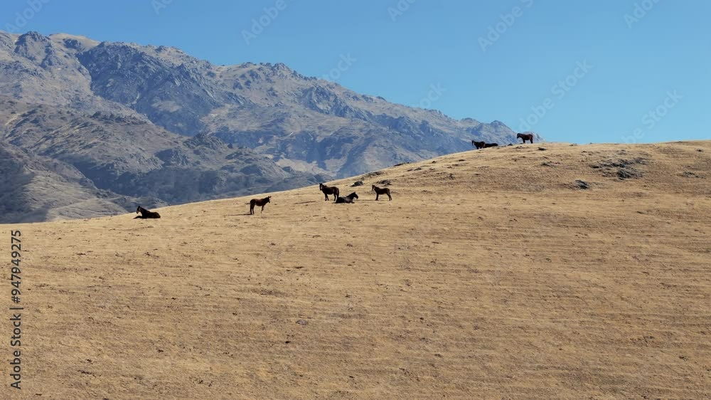 A group of horses standing on a mountain with fine grass, set against the backdrop of a gigantic stone mountain. A group of horses standing on a mountain with fine grass, set against the backdrop of a gigantic stone mountain.