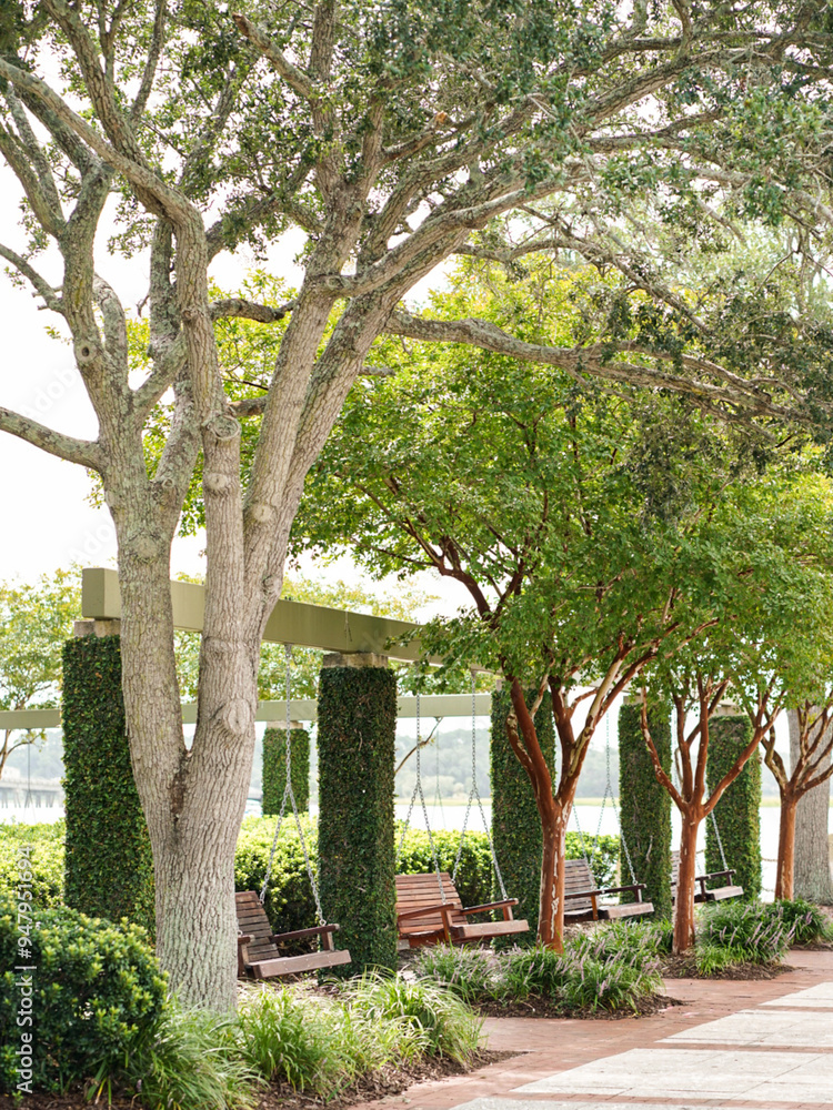 A row of swings in Beaufort South Carolina A row of swings in Beaufort South Carolina