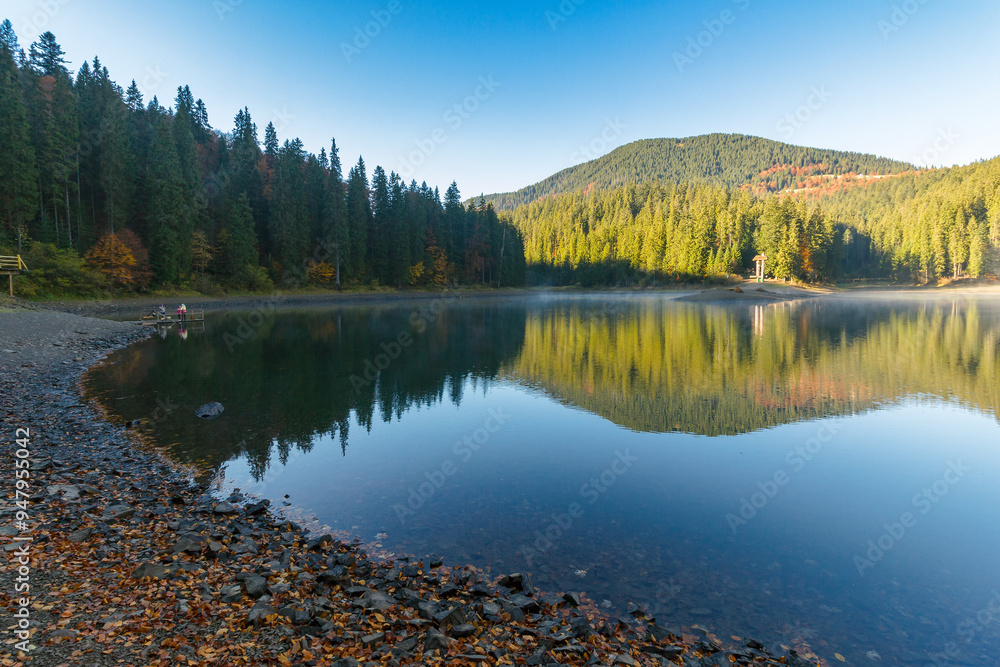 landscape by the alpine lake in the early morning. coniferous forest on the shore and mountain hills of synevyr national park in autumn landscape by the alpine lake in the early morning. coniferous forest on the shore and mountain hills of synevyr national park in autumn