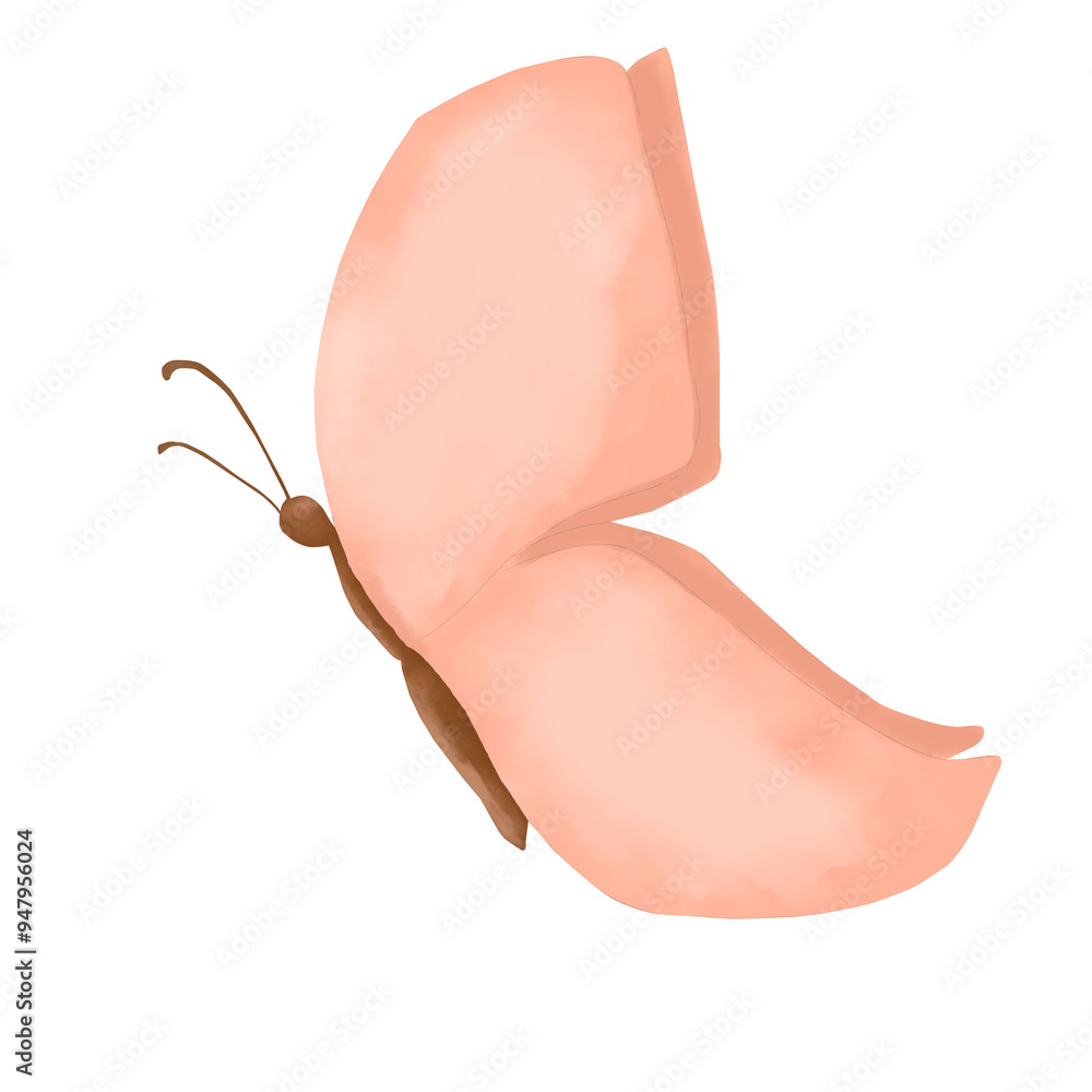 Fototapeta premium Butterfly with peach color wings watercolor digital illustration children's holiday for printing and web