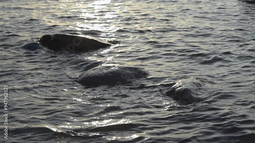 Ocean sea water waves hitting rocks near the shoreline Suurupi beach Estonia. Sun and light is reflecting on the water and wave ripples in slow motion while it is eveninng or dusk in 4K resolution. photo