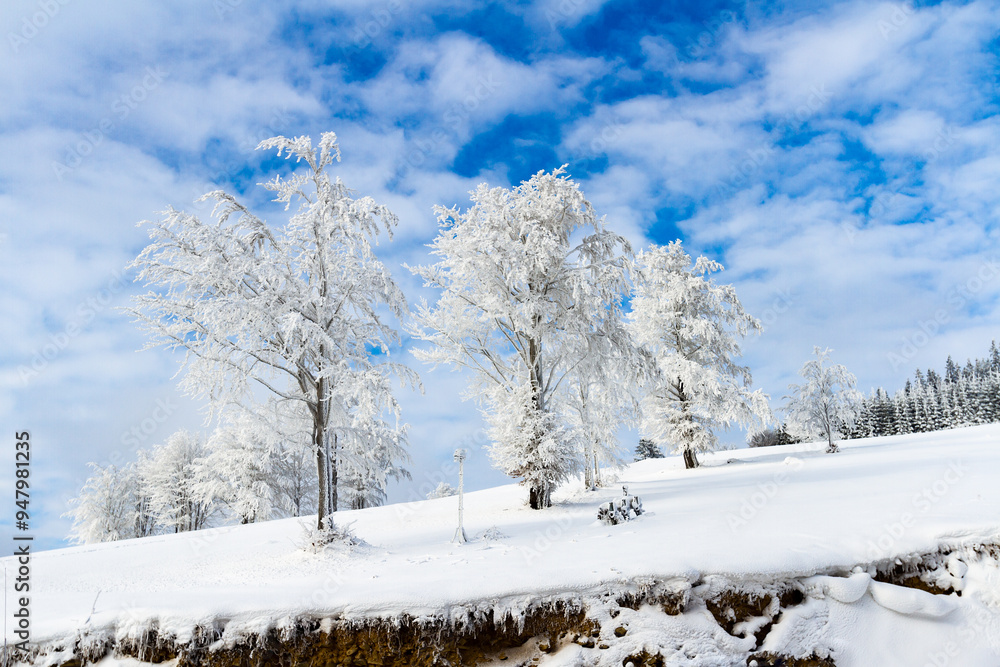 View of winter landscape. View of winter landscape. Frosted trees and bushes in Polish mountains. The Beskid mountains, Koszarawa, Silesia, Poland View of winter landscape. View of winter landscape. Frosted trees and bushes in Polish mountains. The Beskid mountains, Koszarawa, Silesia, Poland