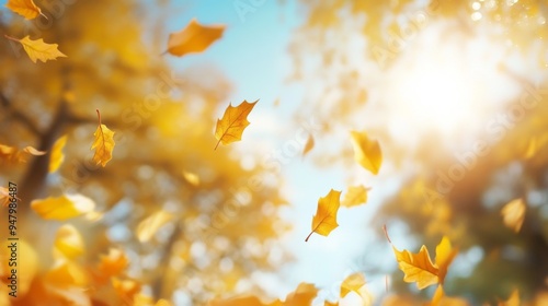 Picturesque autumn scene with golden leaves floating gracefully in bright sunlight, emphasizing the beauty of the season and creating a peaceful natural setting.