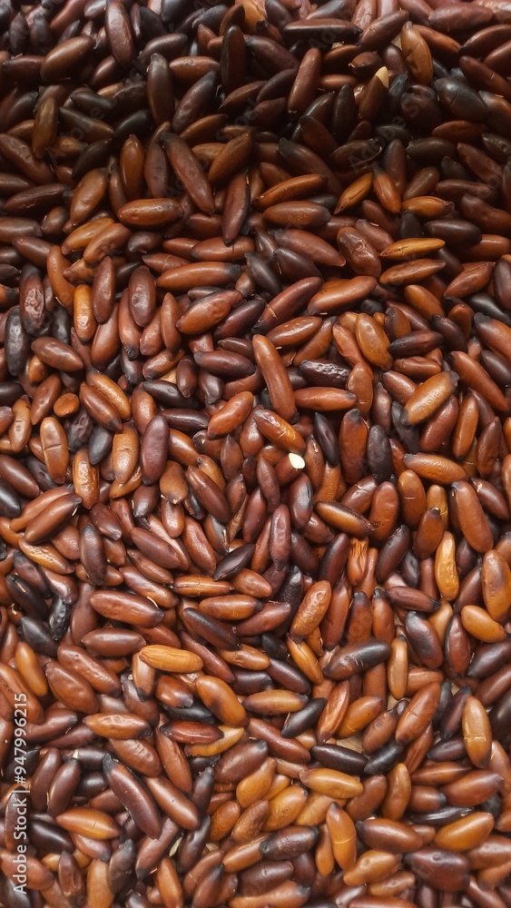 castanha de baru torrada, fruto característico do Cerrado brasileiro castanha de baru torrada, fruto característico do Cerrado brasileiro