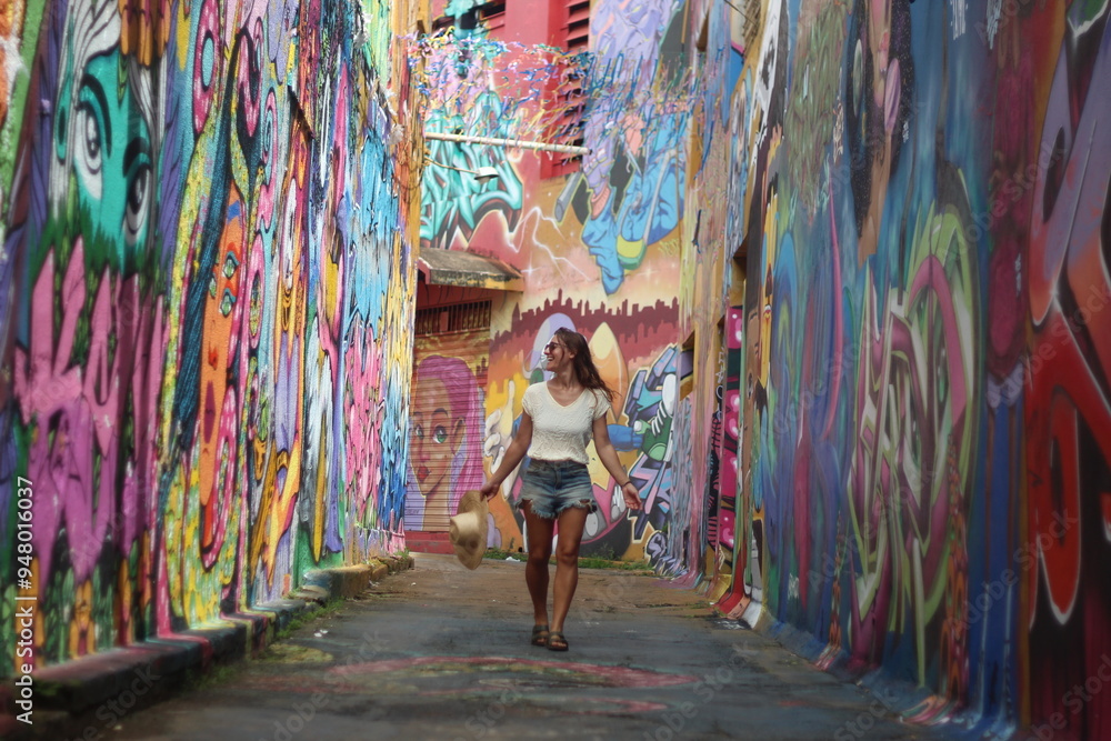 Fototapeta premium mulher no beco do codorna, no centro de goiania, goiás 