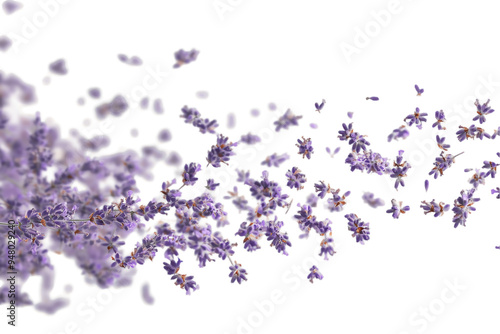 Lavender Dream: A gentle swirl of lavender blossoms creates a dreamy, ethereal effect against a pure white background. The soft purple hues and delicate petals evoke a sense of tranquility and serenit photo