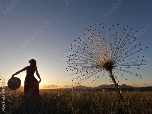 mulher caminhando em campo com palipalan (conhecidos como "chuveirinhos") na chapada dos veadeiros, goiás