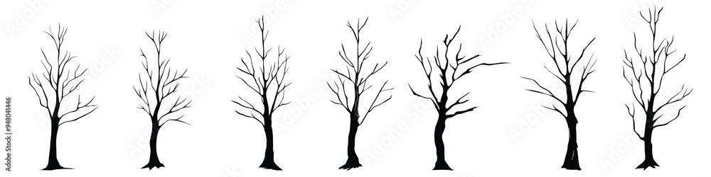 Set of drawn trees without leaves, drawing on white background, vector design Set of drawn trees without leaves, drawing on white background, vector design