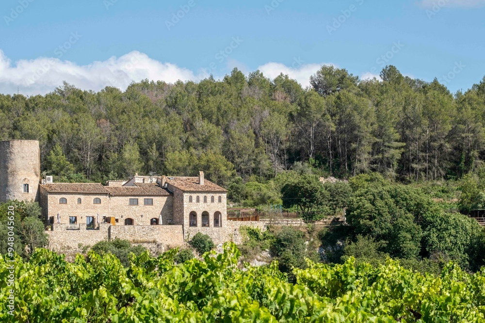 A vineyard estate building set against a backdrop of dense forest, surrounded by green vegetation, showcasing the harmony between manmade structures and natural landscapes in Penedes Spain