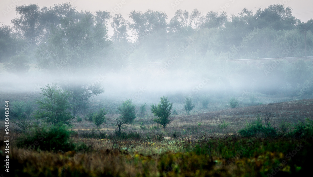 Fototapeta premium Summer morning with fog , green field , green trees , forest at summer . Yellow sunrise over the trees , sunny days . Fog over the trees and field , tree on field with grass , beautiful landscape 