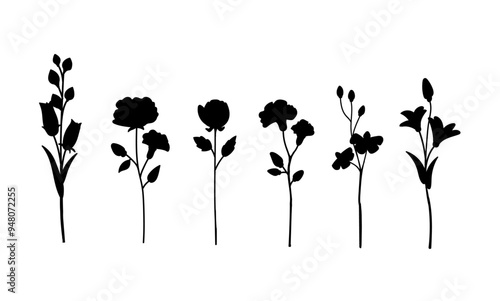 Flat color flowers hand drawn illustration set for decoration. Isolated.
