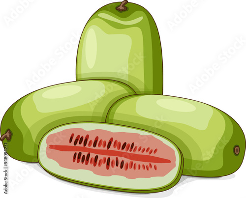 Whole and chopped Ali Baba Watermelon. Citrullus lanatus. Vegetables. Clipart. Isolated vector illustration.