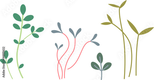 Illustration of various microgreens with different stem colors and leaf shapes, symbolizing diversity in healthy food options.
