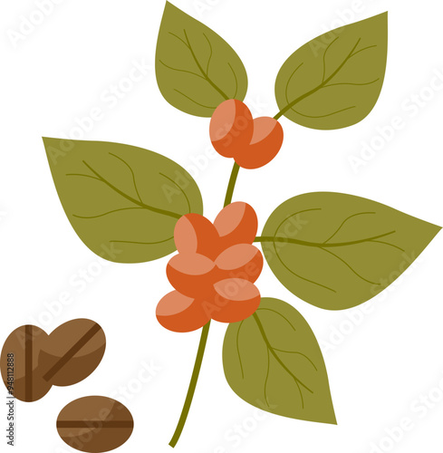 Illustration of coffee beans and leaves, symbolizing fresh coffee origins.